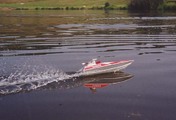 Cobra 8