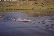 Cobra 9