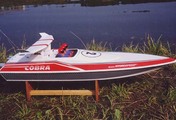 Cobra 10
