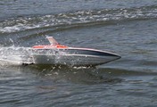Cobra 12