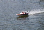 Cobra 14