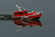 Zar 14