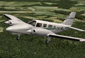Piper Seneca