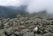 Na vrcholu