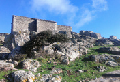 006_IMAG2133.jpg
