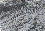 012_IMAG2149.jpg