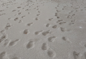 019_IMAG2170.jpg