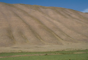 Koжomkул