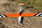 stinger-3.jpg