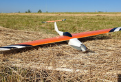 stinger-4.jpg