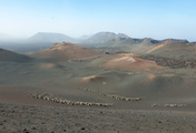 lanza-21.jpg