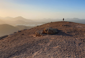 lanza-27.jpg
