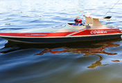cobra-2022-01-3.jpg