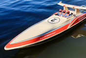cobra-2022-01-4.jpg