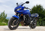 fz6-2022-01-1.jpg