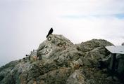 0903_18A.jpg
