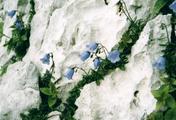 0903_21A.jpg