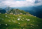 0903_33A.jpg