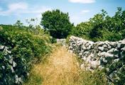 0905_13.jpg
