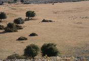 PICT2093.JPG