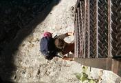 PICT2202.JPG