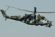 Mil Mi-24 (7356)