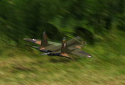 MiG-29