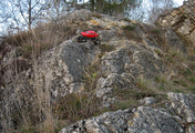IMG_4948.jpg