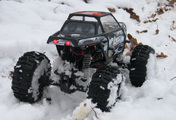 IMG_4956.jpg