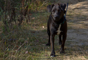 _IGP8550.jpg